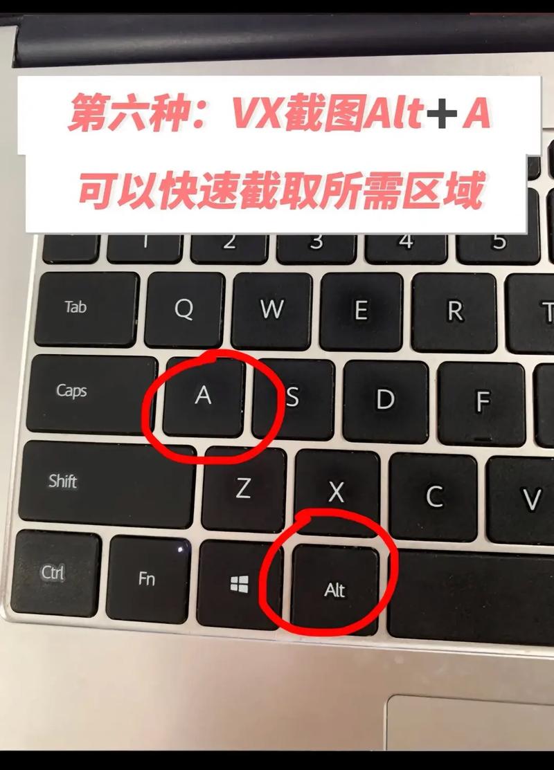 如何在电脑上进行屏幕截图？常用方法都在这里了