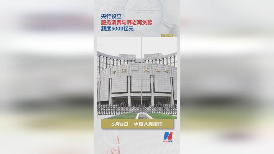 2008年银监会与央行联合指导小额贷款公司试点，发展现状如何？