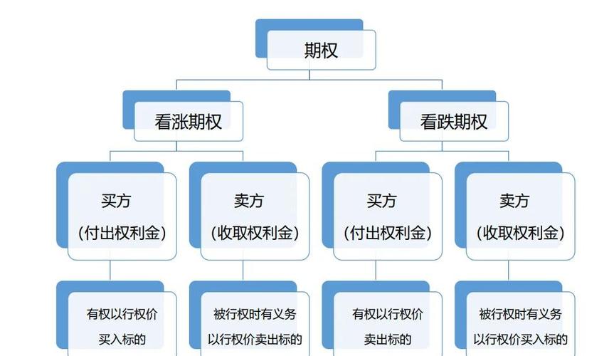 期权对个人投资者的功能_股票期权经济功能_原始股与期权的区别