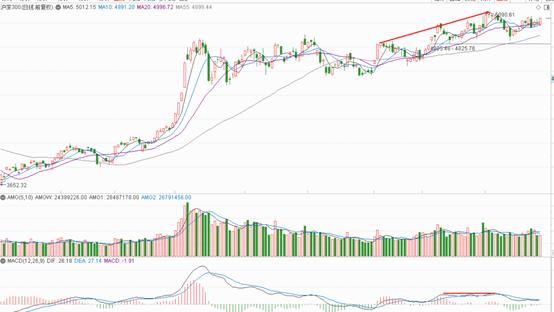 期权对个人投资者的功能_原始股与期权的区别_股票期权经济功能