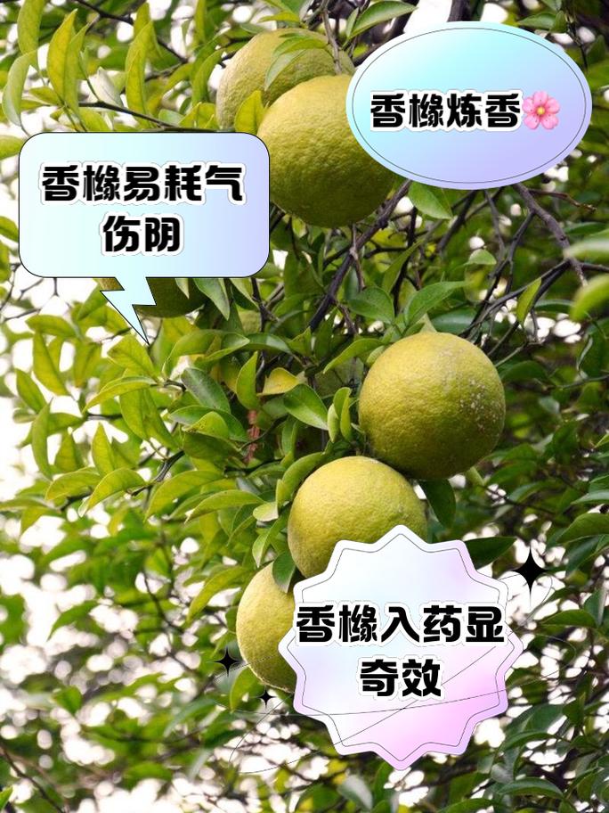 瑞是大空头里的谁_瑞是大空头里的谁_瑞是大空头里的谁
