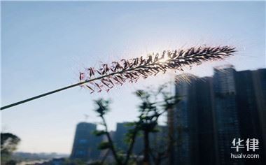 中国保监会保险业务许可证办理_保险业务经营资格申请流程_申请经营代理保险业务的情况说明
