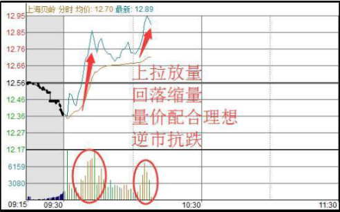 股灾时买什么股好_蓝筹股抗跌性分析_抗跌股投资策略