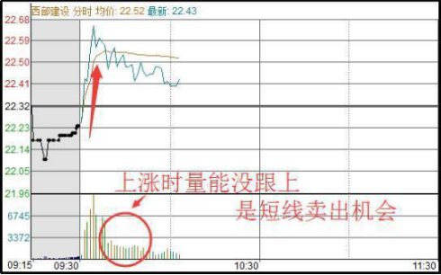 蓝筹股抗跌性分析_股灾时买什么股好_抗跌股投资策略
