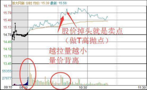 股灾时买什么股好_蓝筹股抗跌性分析_抗跌股投资策略