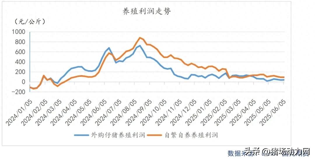 近几日全国猪价小幅回涨，这轮猪周期下行何时迎拐点？