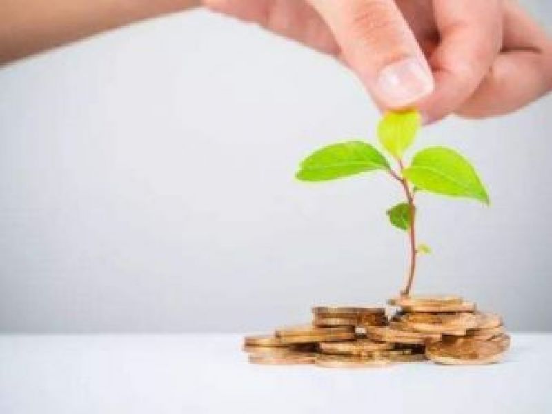 蚂蚁集团绿色金融新动作：支付宝推近300亿绿色基金专区，网商银行将推绿色贷款产品