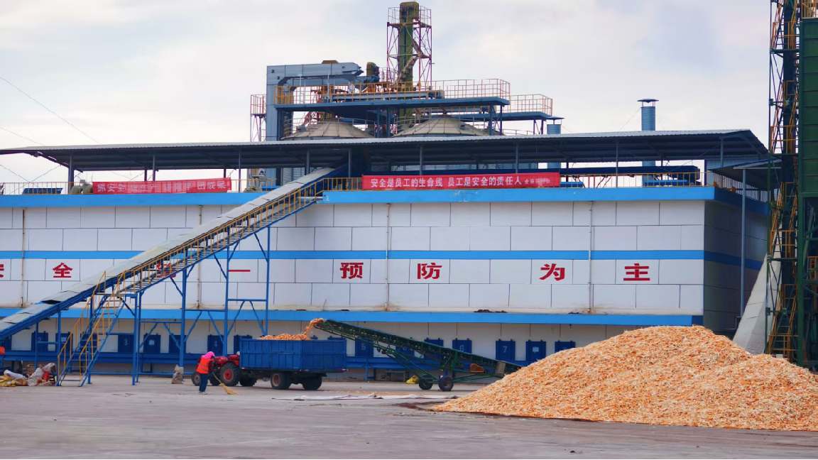 甘肃张掖：千万元种业贷解农企之急，广西玉林：水稻制种遇融资难题