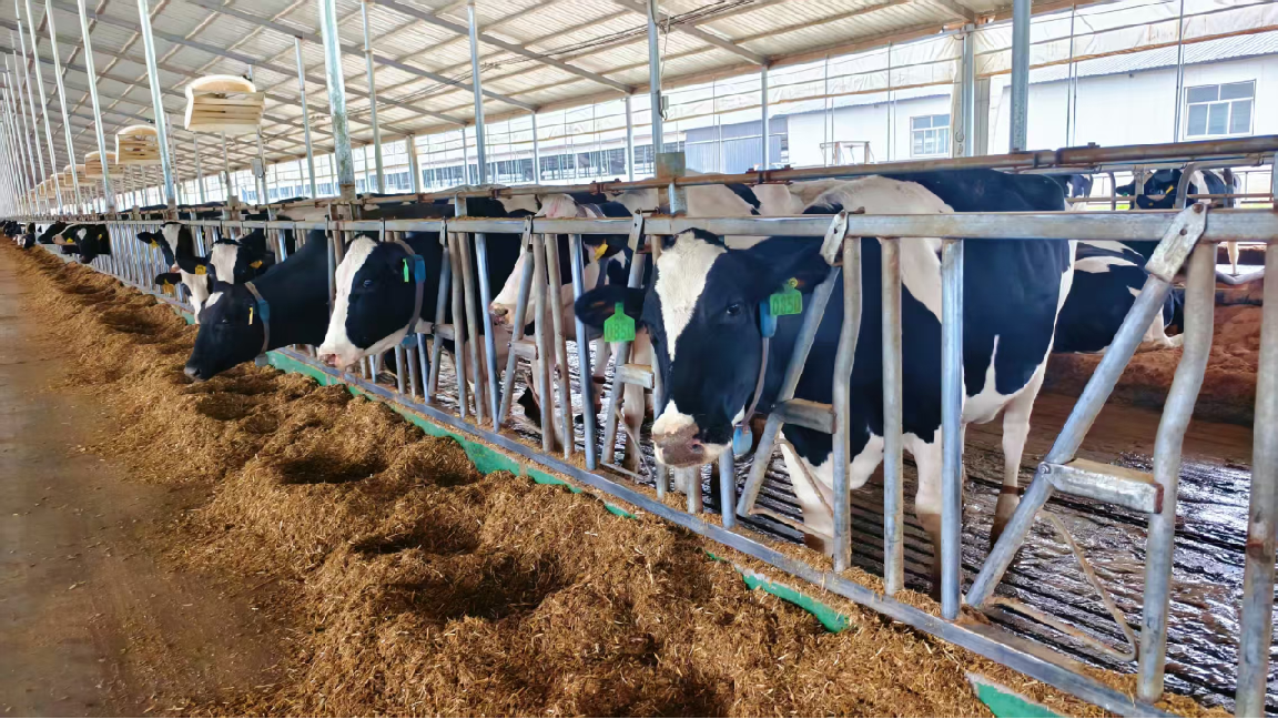 网上无抵押快速贷款_河西走廊种业贷_粮农e贷