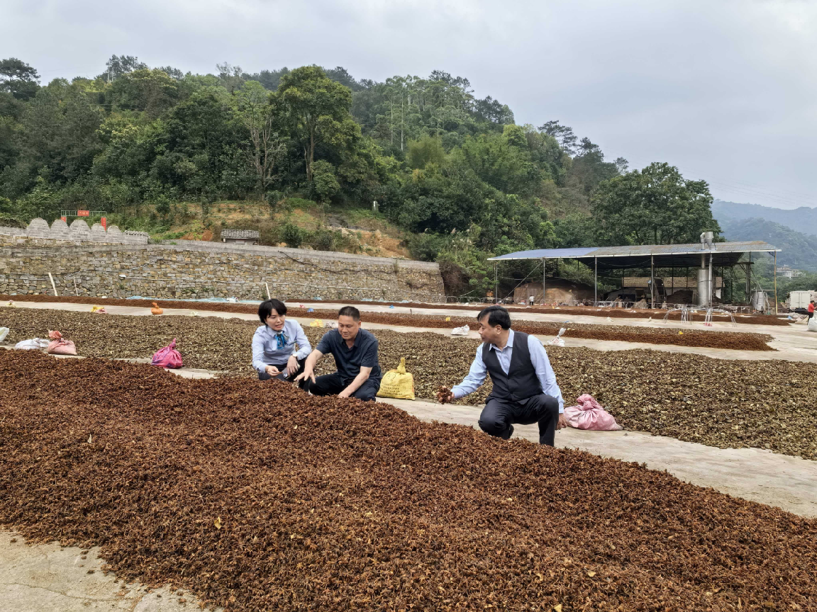 粮农e贷_网上无抵押快速贷款_河西走廊种业贷