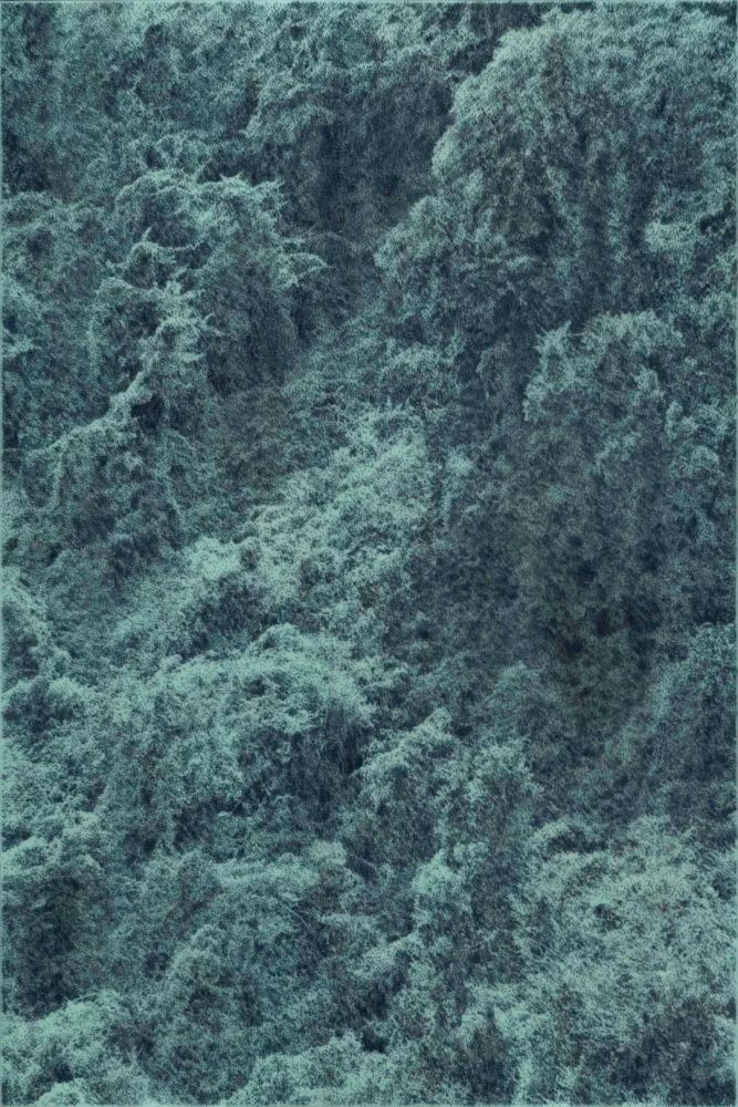 当代美术作品_美术当代作品有哪些_美术当代作品名称