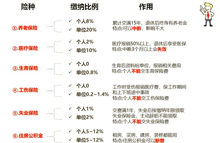 什么是社保代理_服务费区间平台差异_社保代缴费用构成
