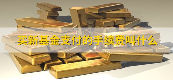 买新基金支付的手续费叫什么,认购费
