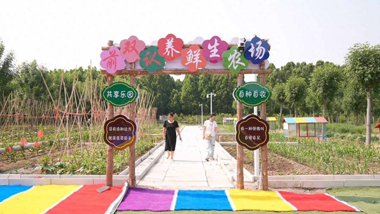 济宁市任城区：认养经济绘就产业兴、乡村美、农民富新画卷