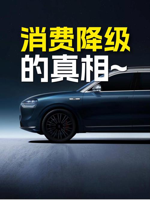 贷款买车划算吗 还是全额买_豪华车销量_原生家庭支持购车款