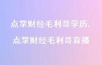 点掌财经毛利哥学历揭秘：80后财经分析师刘彬如何从2000点把握51