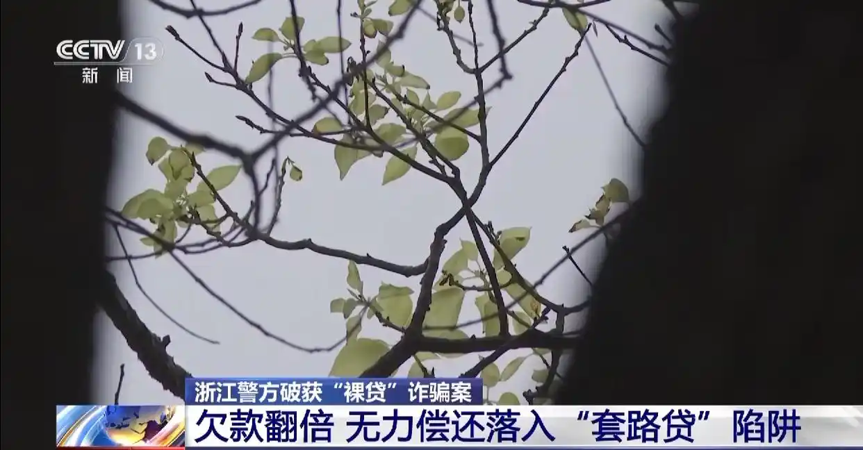 裸贷套路贷诈骗_以贷养贷过桥贷款犯罪团伙_贷款过桥