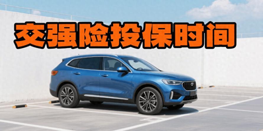 交强险知识必知：投保时间咋查及逾期后果，出行得踏实