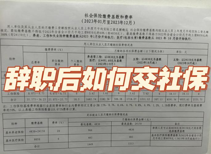 黑龙江养老保险补缴条件：企业原因可补，个人离职不行