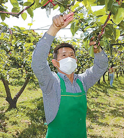 昆山刘地合作社为近百户主体供农机服务，尽显带动作用