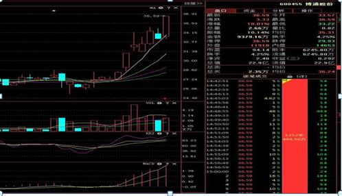 交易贵在坚持_顺势而为止损_乖离率怎么看